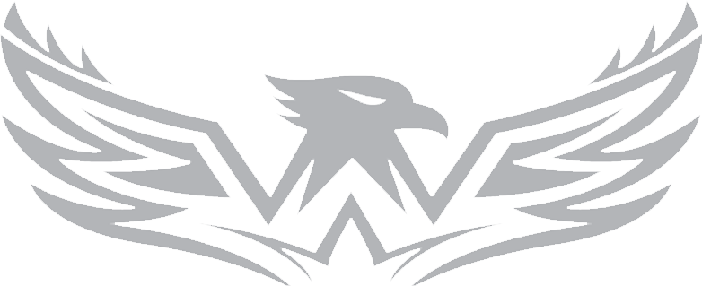 Stone Falcon Group Logo